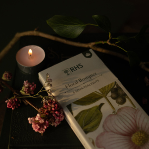 Freckleface x RHS Heritage Tea Lights